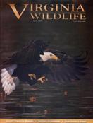 Virginia Wildlife